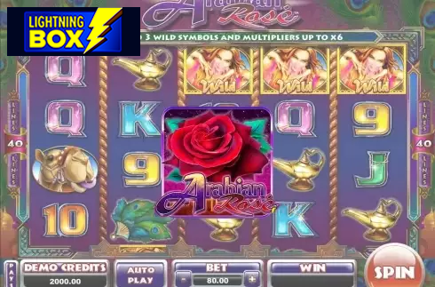 Arabian Rose